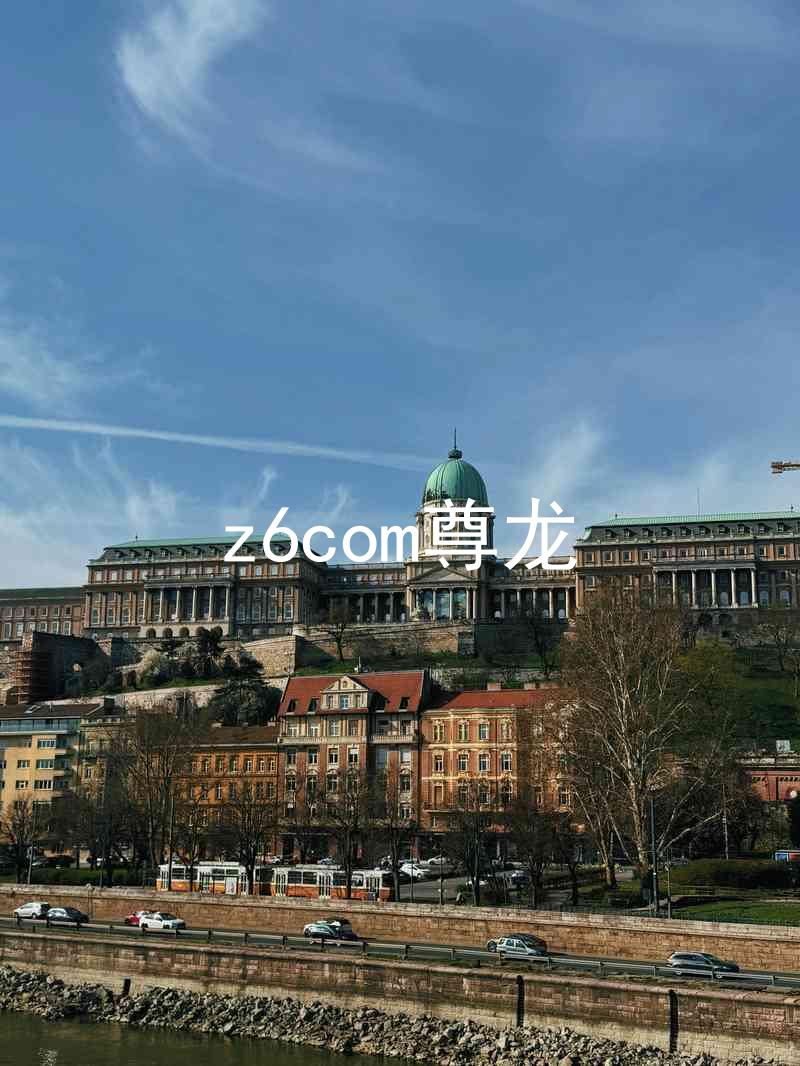 z6com尊龙